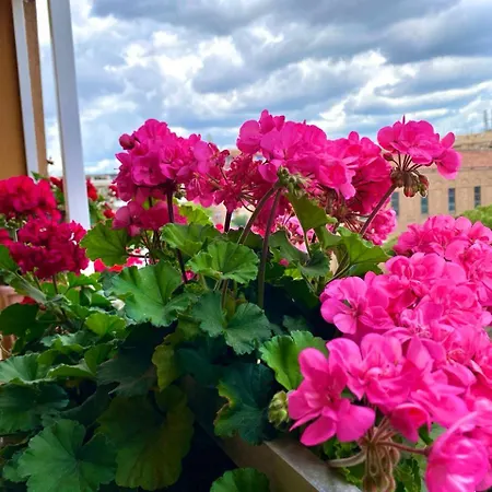 Апартаменты Elenae Domus